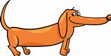 dachshund dog cartoon illustration