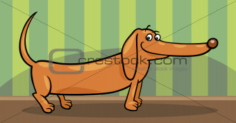 dachshund dog cartoon illustration