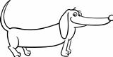 dachshund dog cartoon for coloring