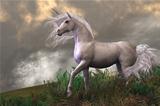 White Unicorn Stallion