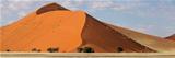 Desert dune panorama