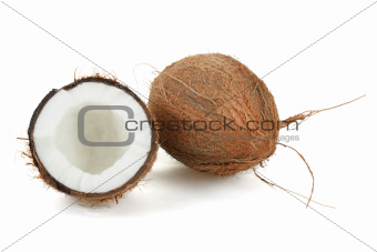 Coconut on a white background 