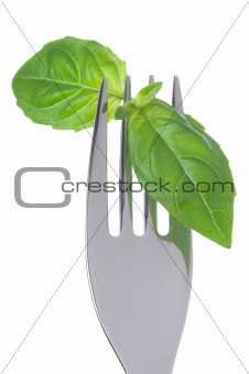 basil leaves on a fork