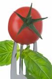 tomato and basil on a fork on white