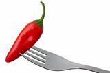 red hot chili pepper on white