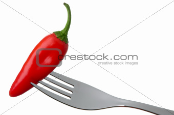 red hot chili pepper on white
