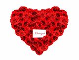red roses I love you