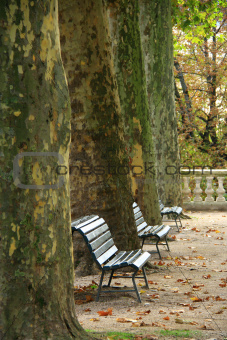 benches in park