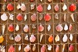 Wall Tapestry of Sea Shells