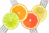 lime lemon orange and grapefruit citrus fruit