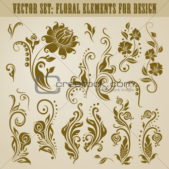 Vector set of floral elements