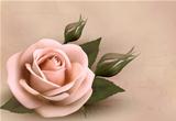 Retro background with beautiful pink rose with buds. Vector illustration.