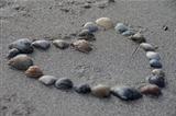 Heart made of sea shells at the beach