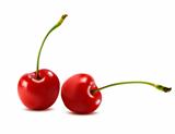Sweet cherry isolated on white. Vector illustration