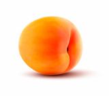 Ripe Peach isolated on white. Vector illustration