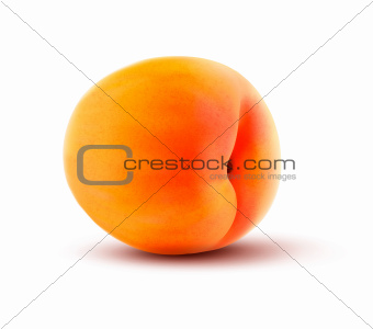 Ripe Peach isolated on white. Vector illustration