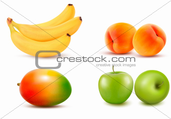 Group of fruit. Vector