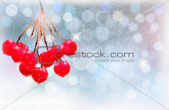 Holiday background with Christmas branch with red berries. Vector illustration.