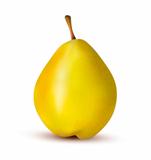 Ripe pear isolated on white. Vector illustration