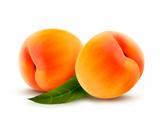 Ripe peach isolated on white. Vector illustration