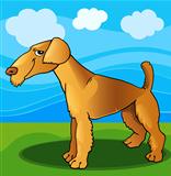 airedale terrier dog cartoon illustration