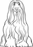 bearded collie dog cartoon for coloring