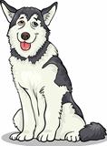 husky or malamute dog cartoon illustration