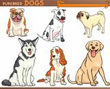 purebred dogs cartoon illustration set