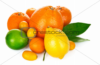 fresh citrus fruit with green leaf