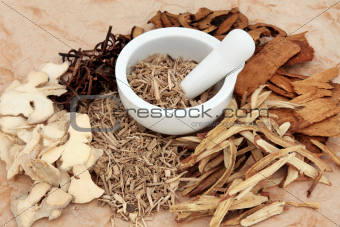 Chinese Herbal  Medicine