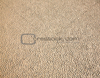 Race Track Texture