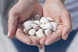 Shells in hands