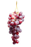 Tasty bunch of red grapes, isolated 