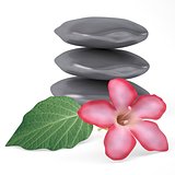 Stones, flower and leaf