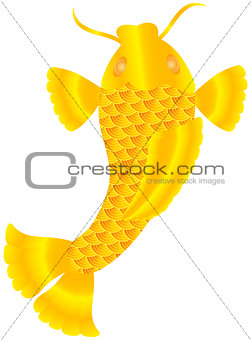 Japanese or Chinese Koi Fish Illustration
