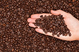 Roasted coffee beans on a hand