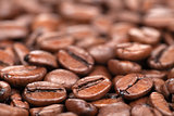 Coffee beans with copy space