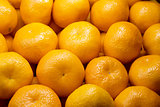 Background of fresh tangerines