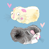 fun loving hamsters