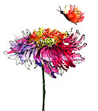 hrysanthemum flower