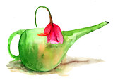 Tulip flower in a green watering can