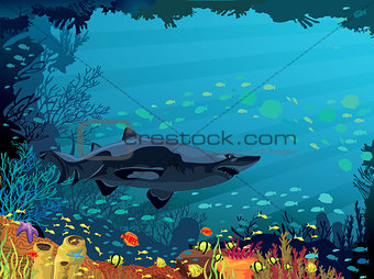 Coral reef with colored fish and shark