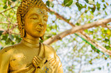 Ancient Buddha 