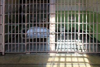 alcatraz jail cells
