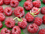 raspberries