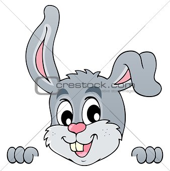 Image with rabbit theme 5