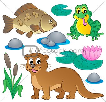 River fauna collection 1