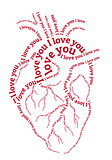 red human heart, vector