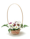 Vibrant Flowers Daisies in Basket