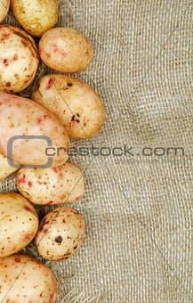 Frame of Raw Potato